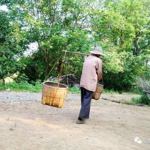 高考后扁担女孩师范梦：教育领域的温暖新趋势